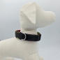 Preview: Halsband Rainbow - Black, verstellbar & gepolstert